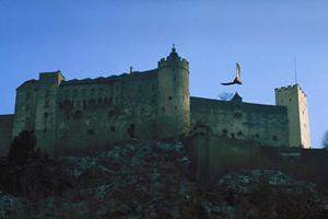 こだわりや条件で探す新築住宅はポラス