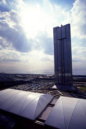 別府で見つかる！ペットと快適に暮らせる賃貸物件の選び方とおすすめポイント